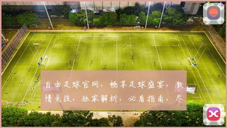 自由足球官网，畅享足球盛宴，激情竞技，独家解析，必看指南，尽在掌握