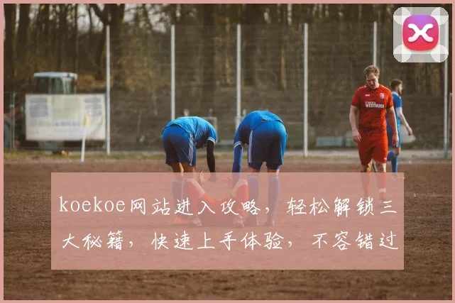 koekoe网站进入攻略，轻松解锁三大秘籍，快速上手体验，不容错过
