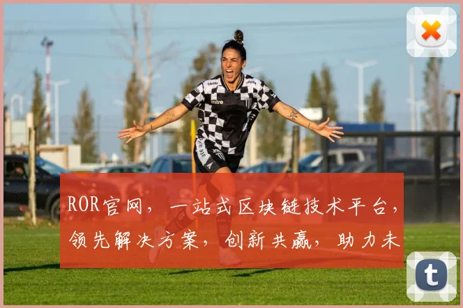 ROR官网，一站式区块链技术平台，领先解决方案，创新共赢，助力未来
