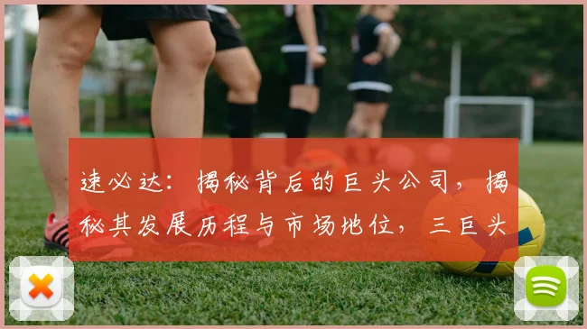 速必达：揭秘背后的巨头公司，揭秘其发展历程与市场地位，三巨头争锋