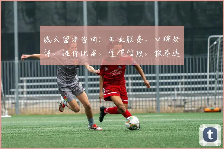 威久留学咨询：专业服务，口碑好评，性价比高，值得信赖，推荐选择